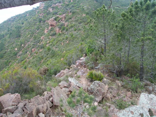 Senda