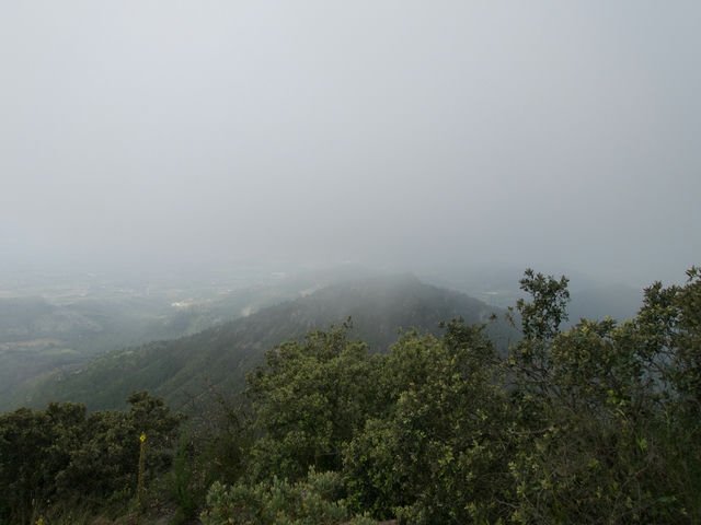 Vistas