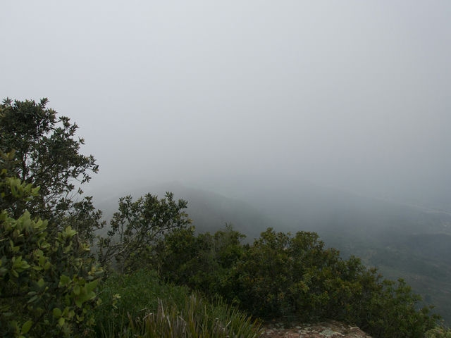 Vistas