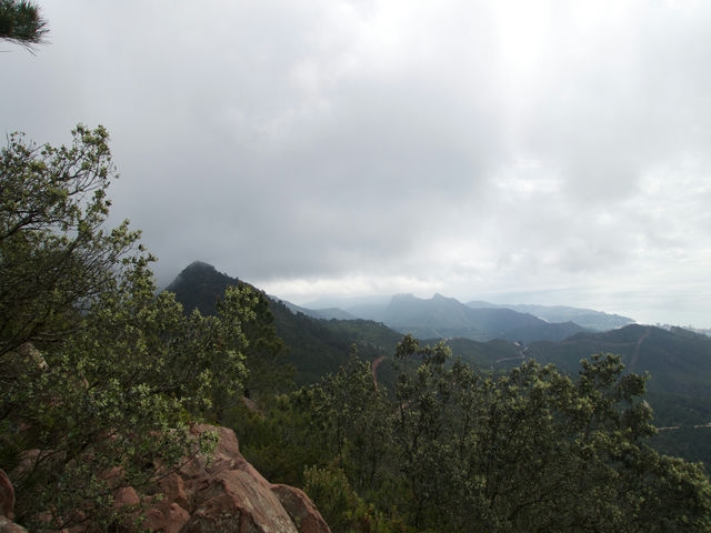 Vistas