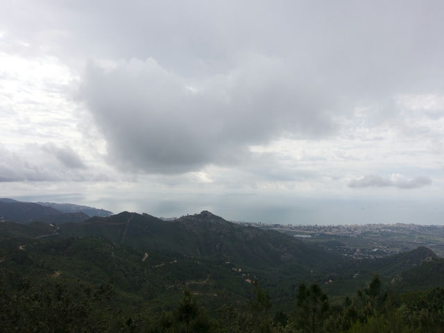 Vistas