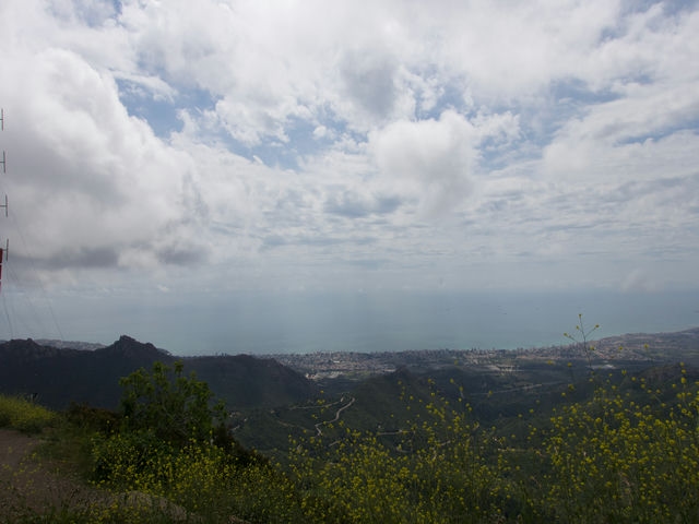 Vistas