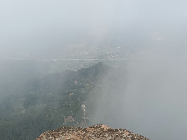 Vistas