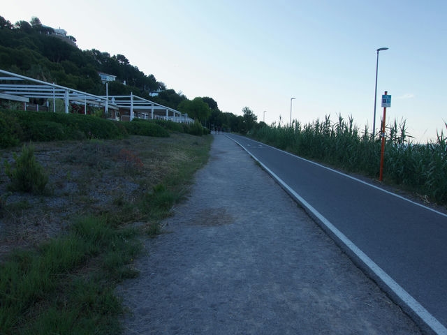 Carril Bici