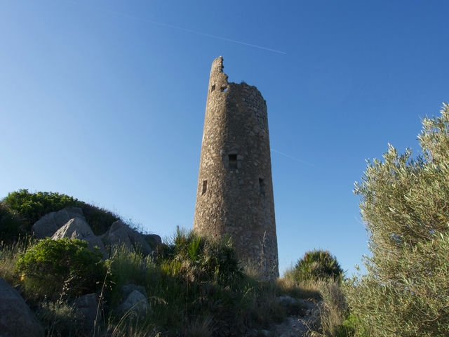 Torre