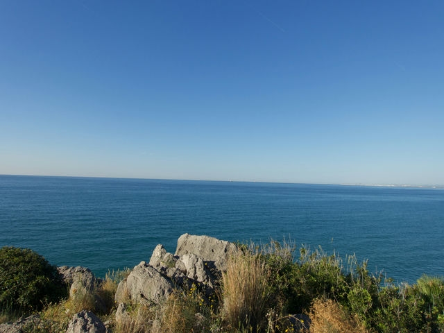 Vistas