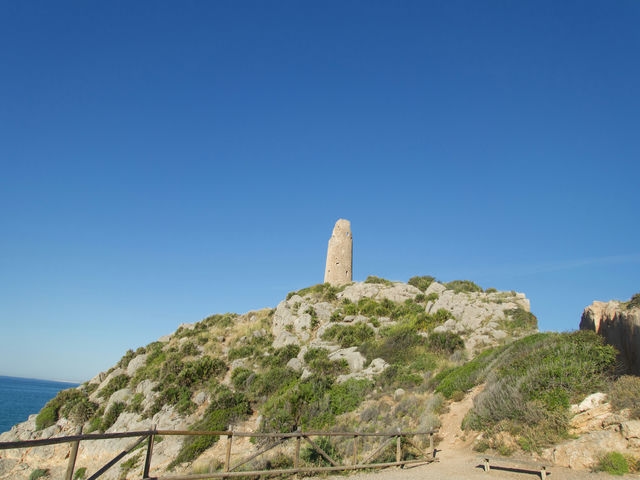 Torre