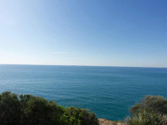 Vistas