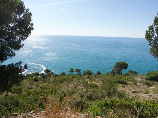 Vistas