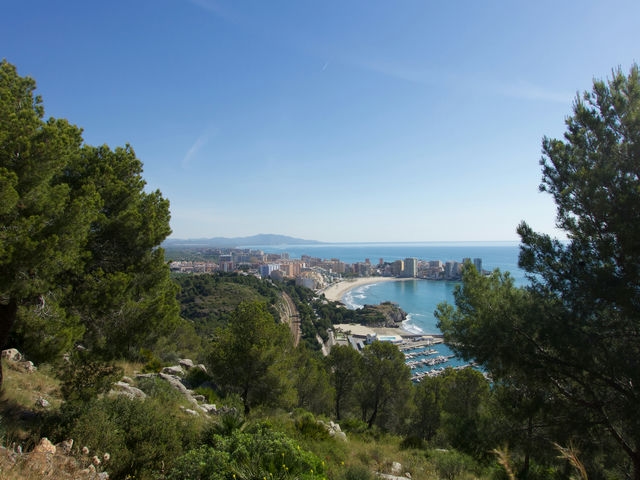 Vistas