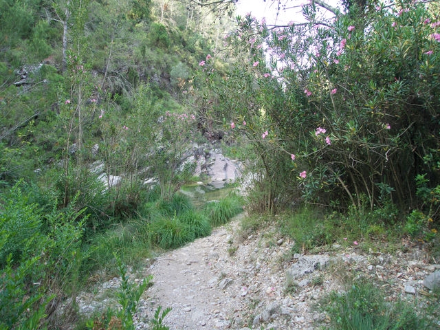 Senda