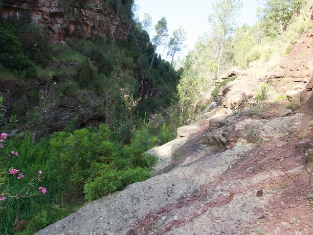 Avanzando por el Rodeno