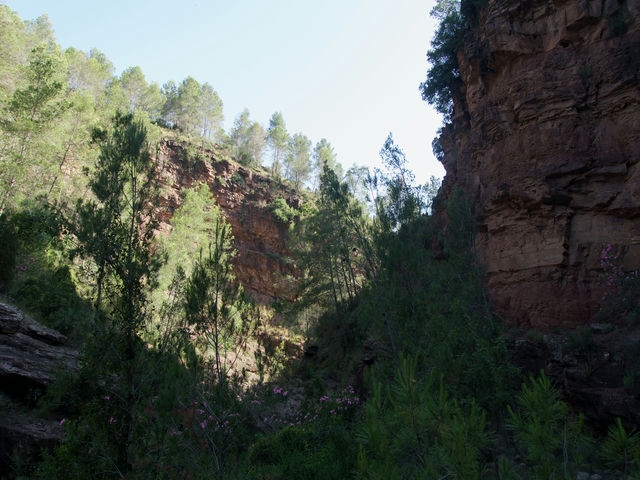 Cañón