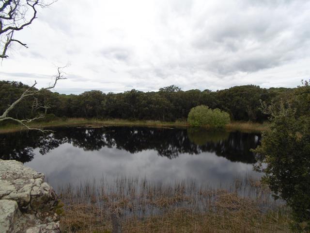 Laguna de la Dehesa