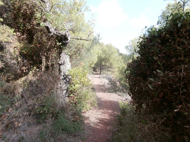 Camino