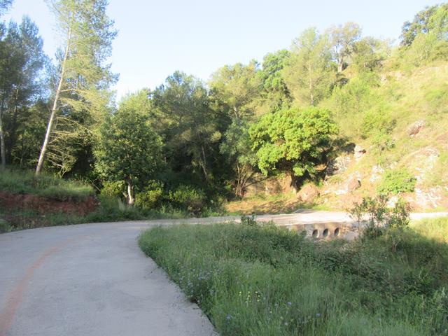 Cruzamos el Barranco
