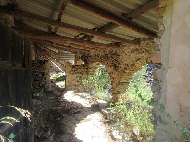 Corral