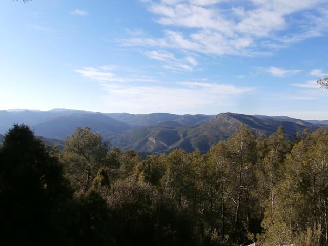 Vistas