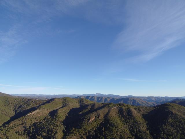 Vistas