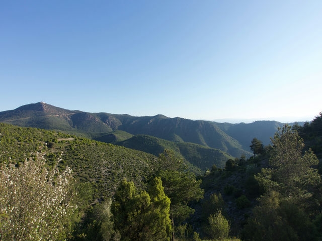 Vistas