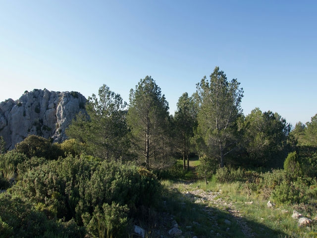 Vistas
