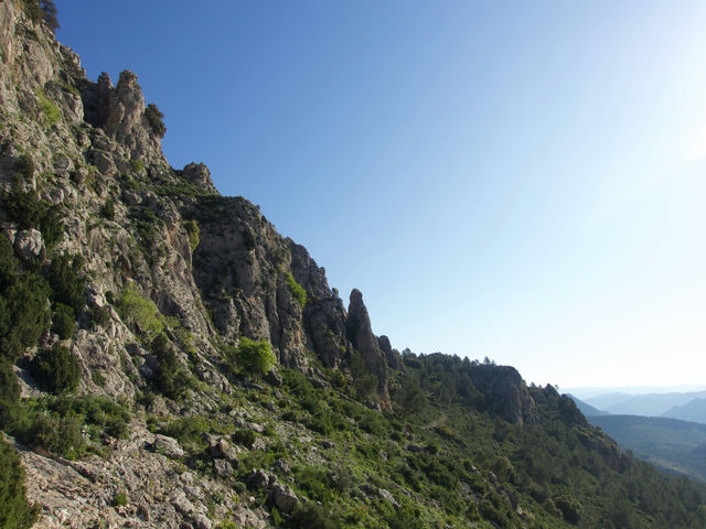 Vistas