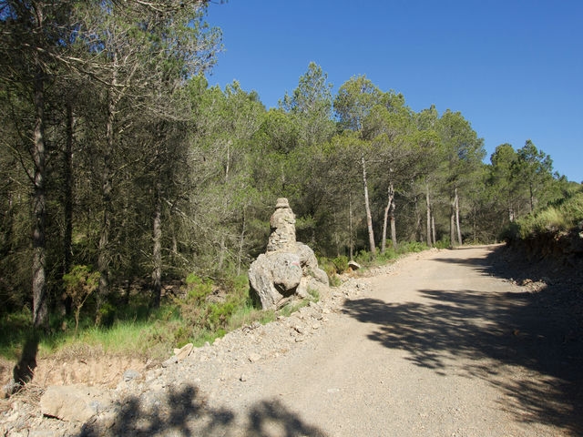 Camino