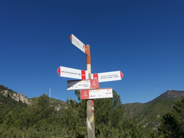 Cruce