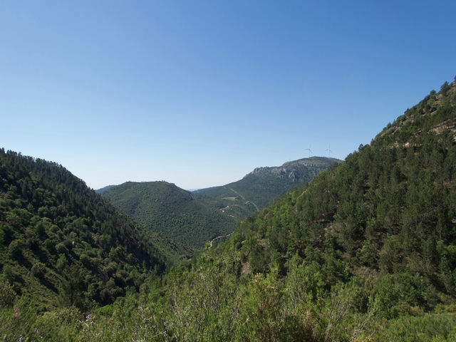 Vistas
