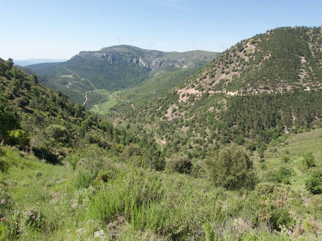 Vistas