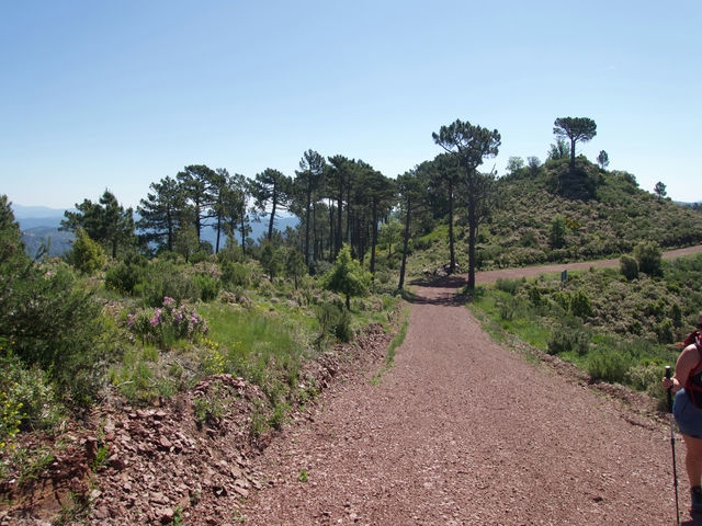 Vistas del Collado