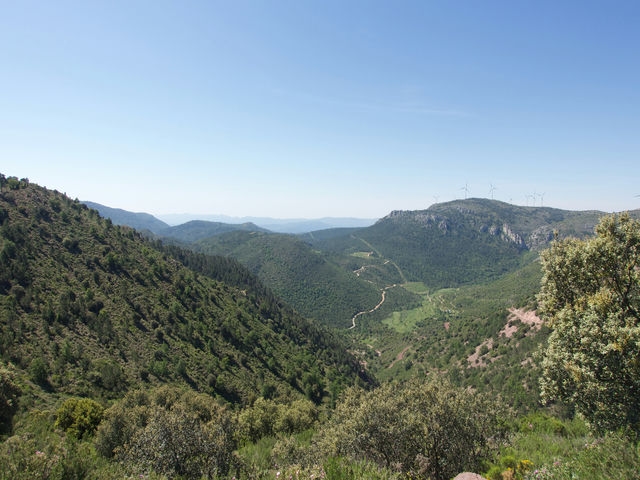 Vistas