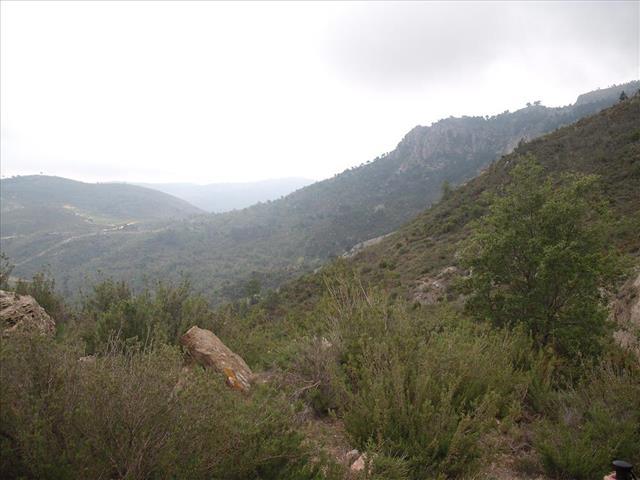 Vistas