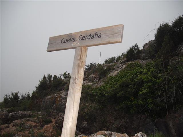 Cartel