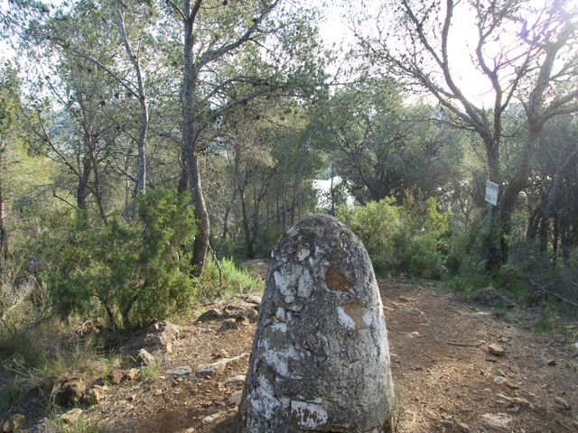 Pilón de Terminos