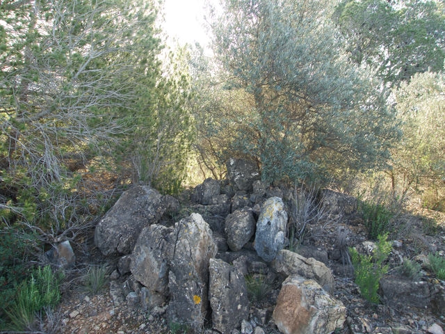 Cima