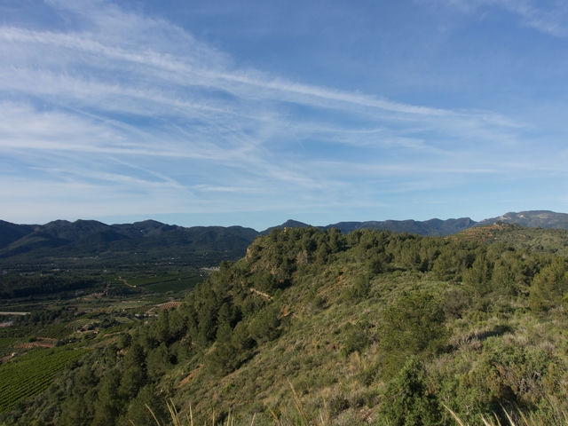 Vistas