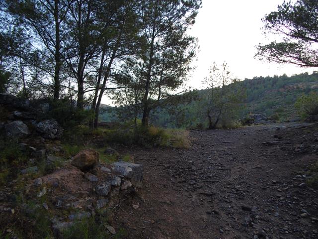 Senda