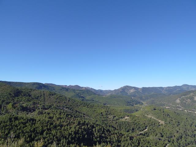 Vistas