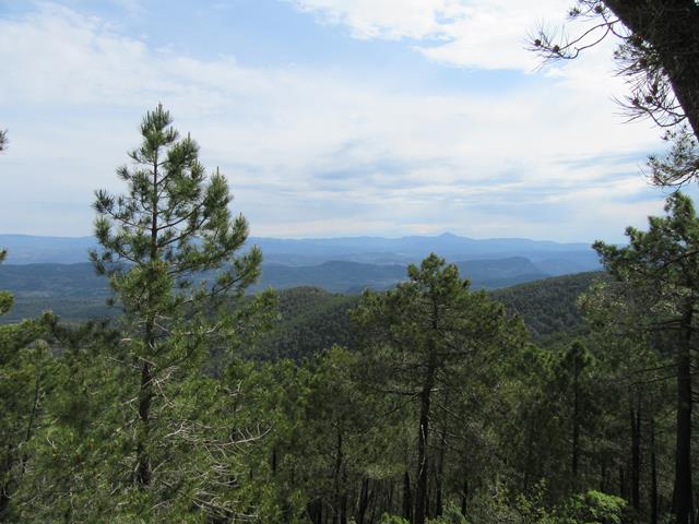 Vistas