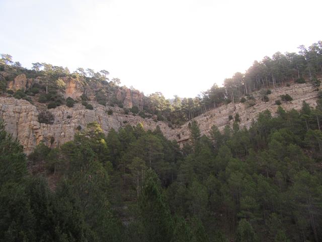 Vistas