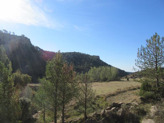 Vistas