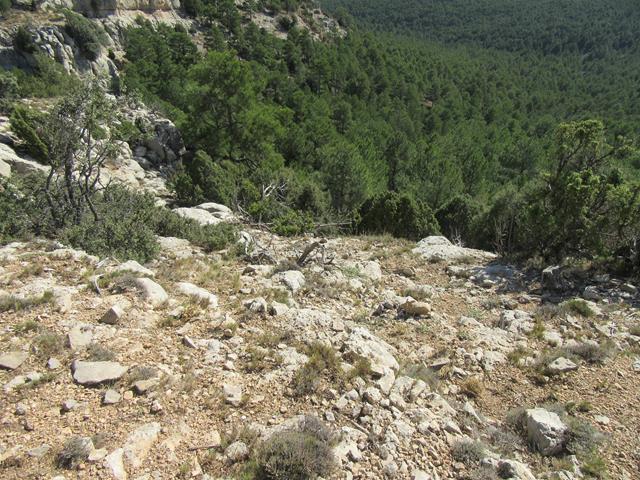 Trepada