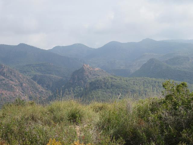 Vistas