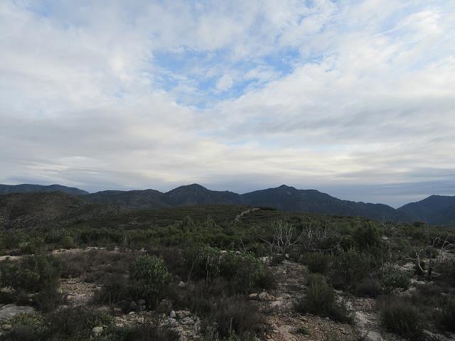 Vistas