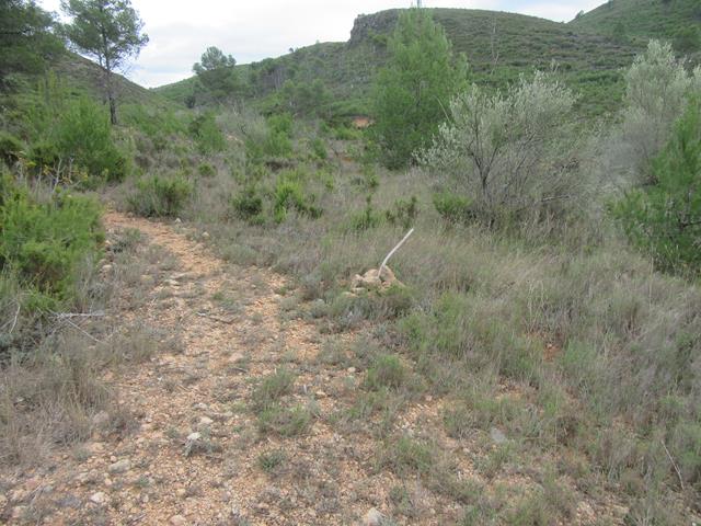 Cruce