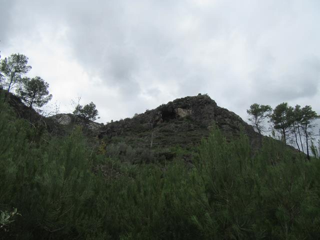 Vistas