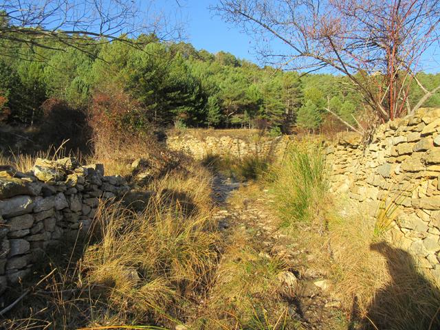 Camino