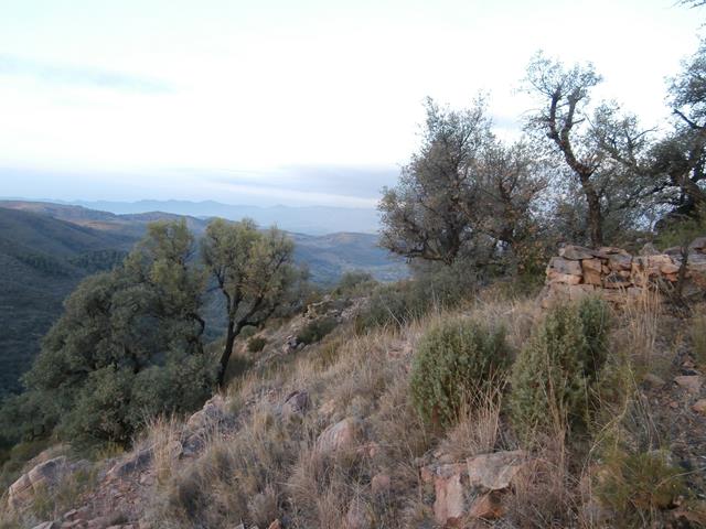 Trinchera